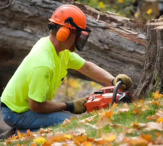 tree services East Merrimack